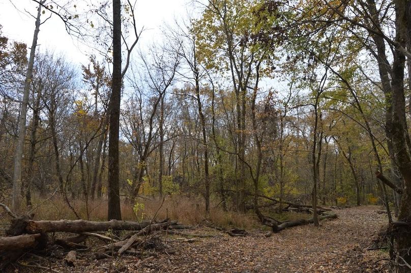 drive on east side of river