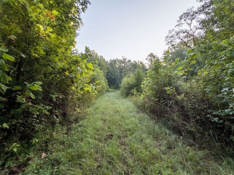 Hinds Co - 78 - Newman-34