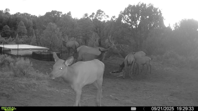 016578004060205-100-3-09212025192933-V-SYFW00203