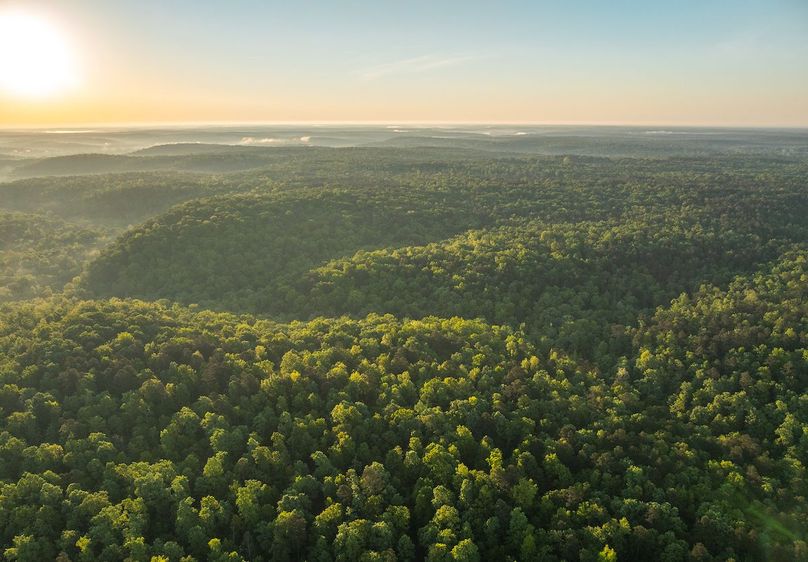 DJI_20250506064720_0137_D