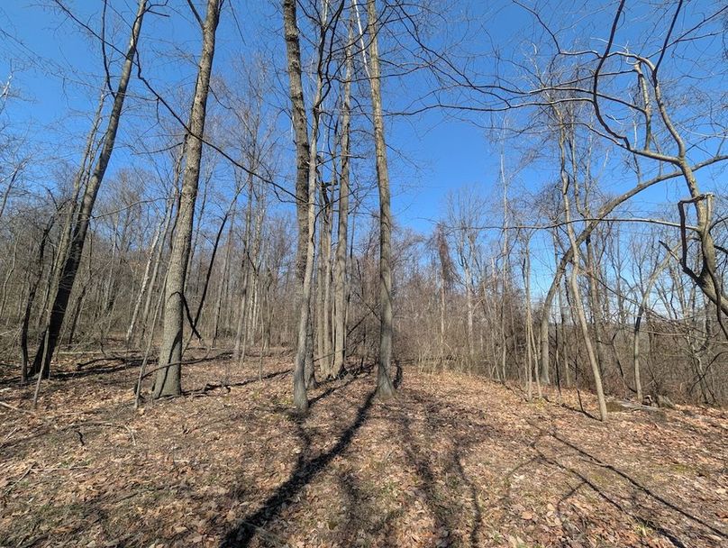 PXL_20260326_165244617.MP