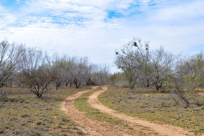 Paved Road Frontage on Hwy 83 and FM 1918 Whitetail Properties