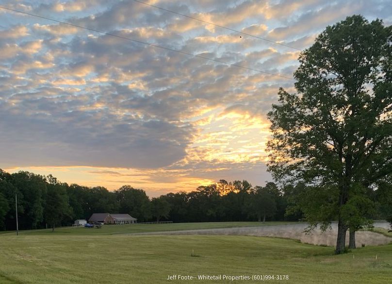 Hinds Co - 39.98 - M Beasley-6