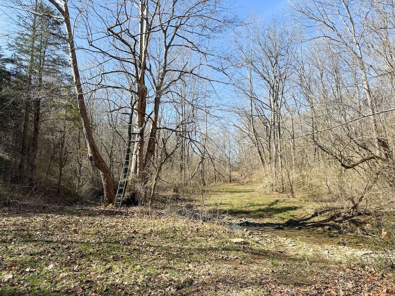 Fleming Petry 115-43