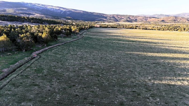 DJI_20250411073928_0070_D