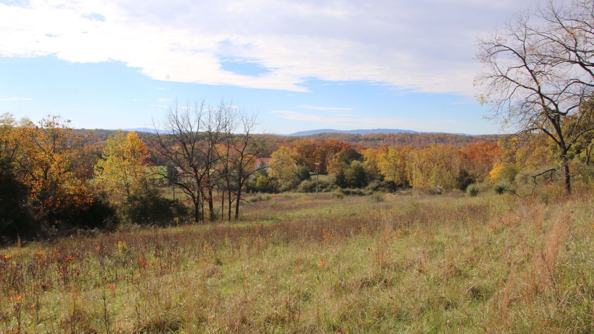 Two Building Lots In The Back Mountain Ridge Estate Community