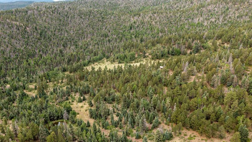 Copy of Los Alamos 508 6-24 Drone-24