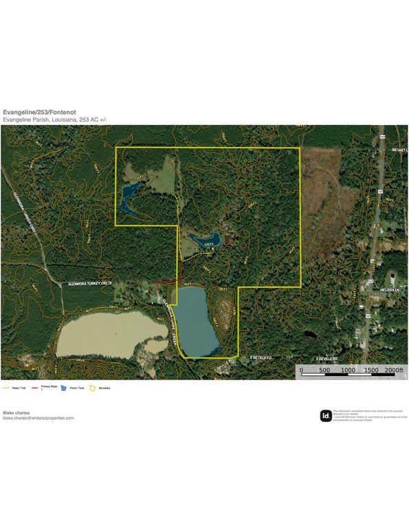 Evangeline253contour