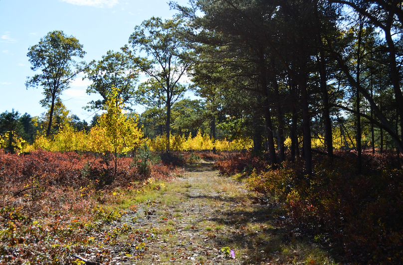 Screenshot 2025-11-14 at 11.12.38 AM