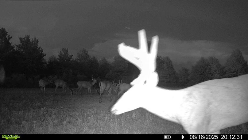 016579000474077-69-3-08172025073746-HD-SYFW03312