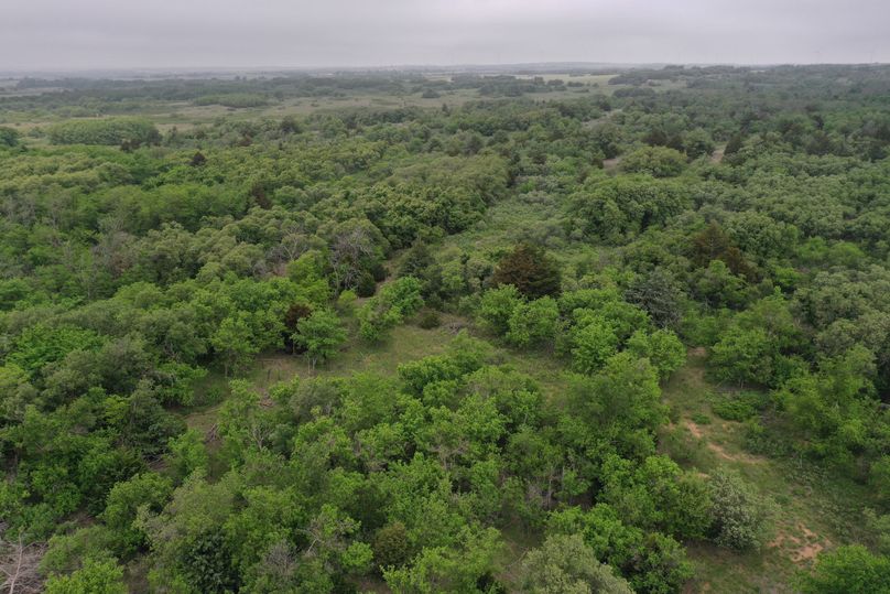 DJI_0416