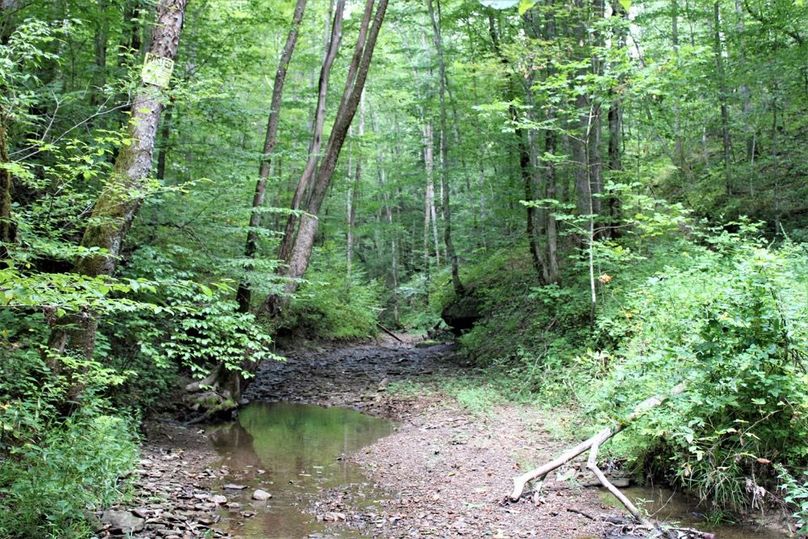 025 Little Rock Lick Creek leading down from the east