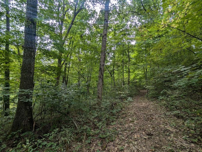 PXL_20240819_145509567