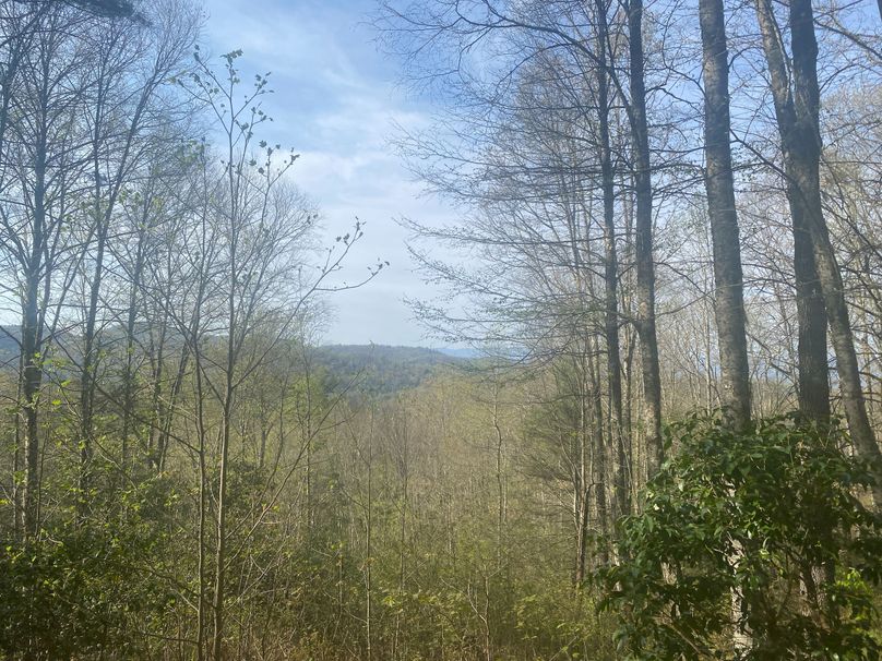 Jackson 2.19 Mansmith-08