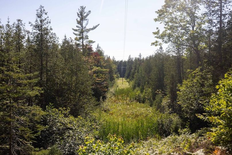 Mackinac 320 Copenhaver-73