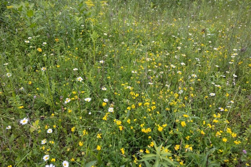 Mackinac 160 Leppiaho-9