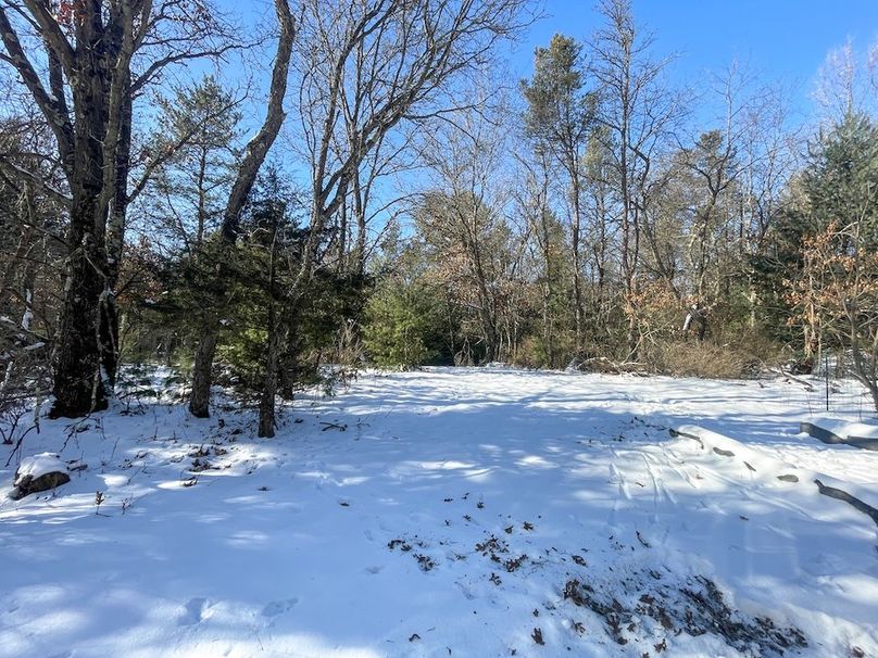 Adams 25, Nessler -44