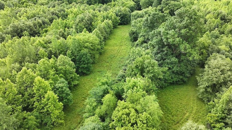 dji_fly_20250619_095732_0320_1750342106733_photo