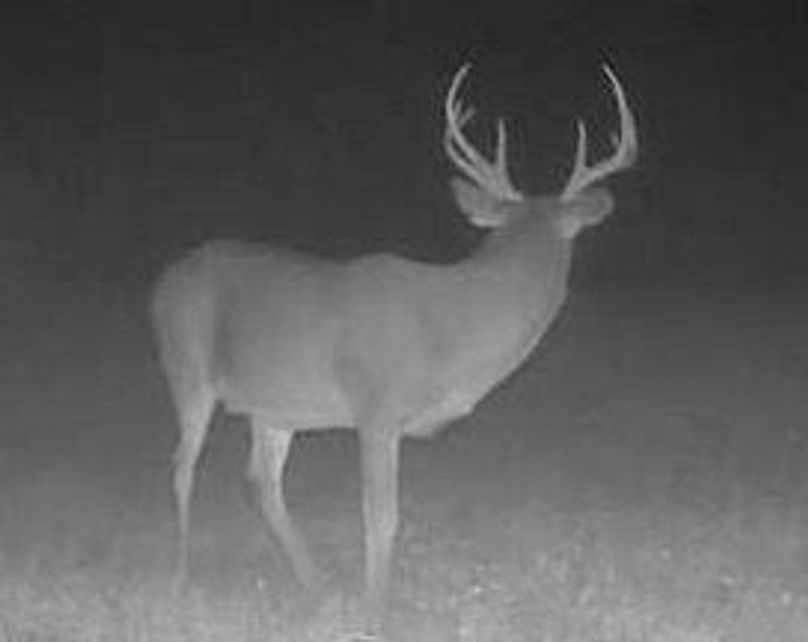 96DF5709-779C-4585-A2DA-2B7E4E790EB0_4_5005_c