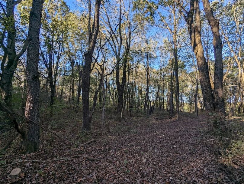 PXL_20251001_214808595