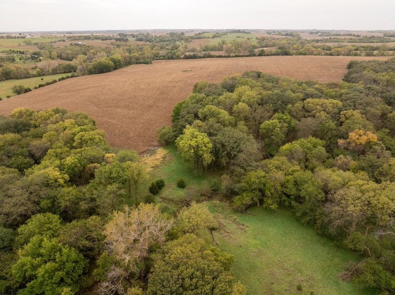 DJI_20251011101635_0130_D