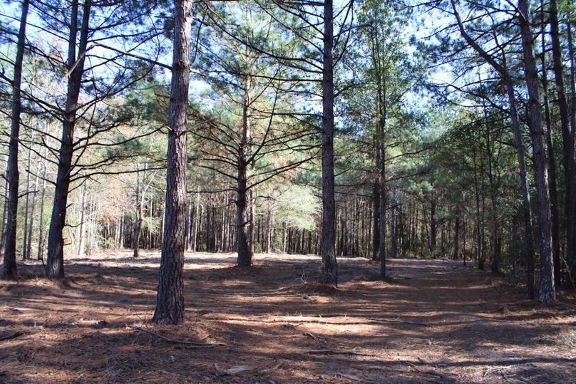 B9F52626-65F9-4CF7-8EFE-A4A31CE2733E_1_105_c