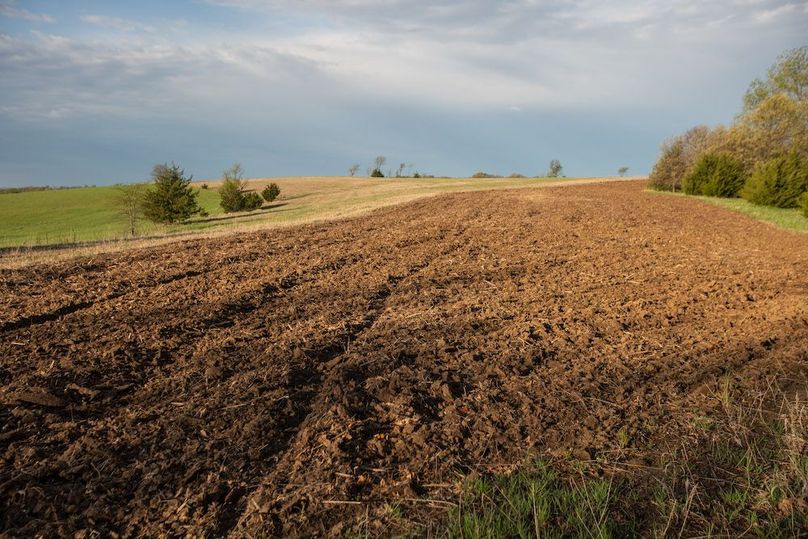 MONTGOMERY CO IA. 156.78_61