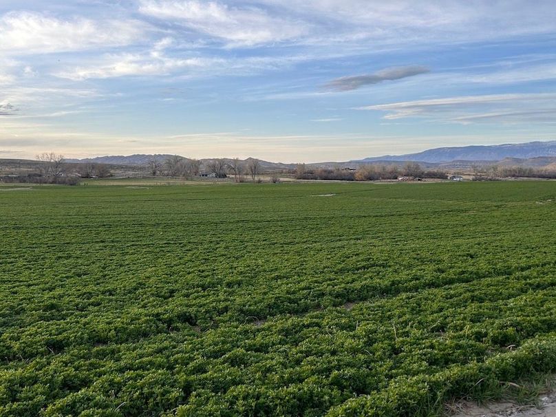 751649FE-EE99-4154-BFE6-C732D00CB299_1_105_c