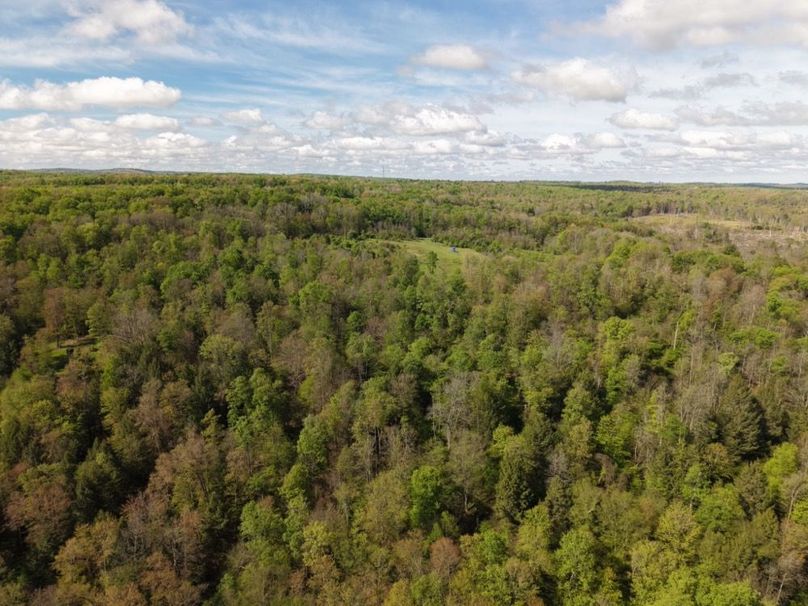 dji_fly_20260515_085222_0041_1778855418335_photo