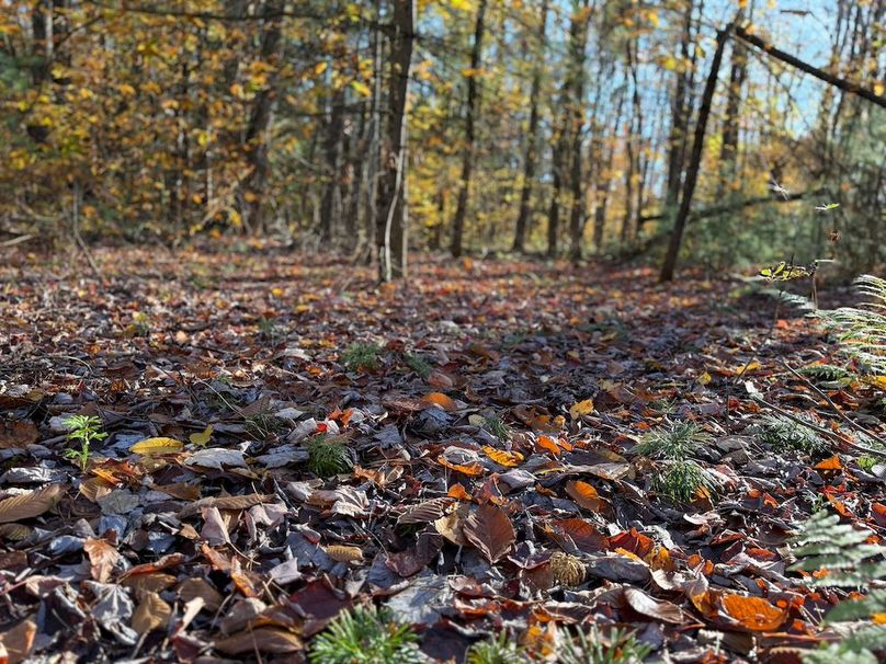 Oswego_26.28_Koehler Photo 22