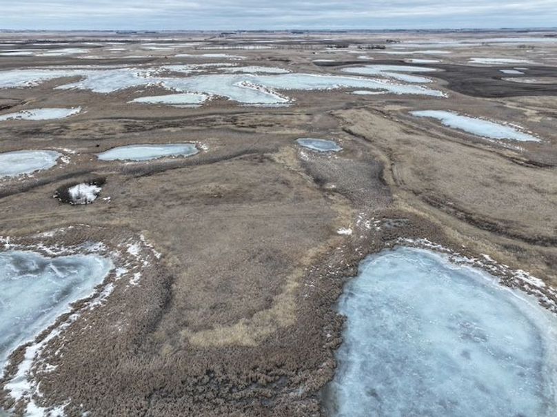 DJI_20260305170932_0146_D