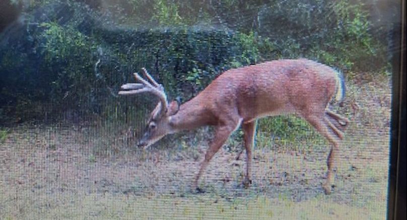 Lee County, MS 92+--29