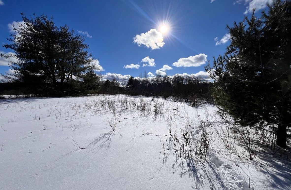 Oswego_10.76_Somberg Photo 3