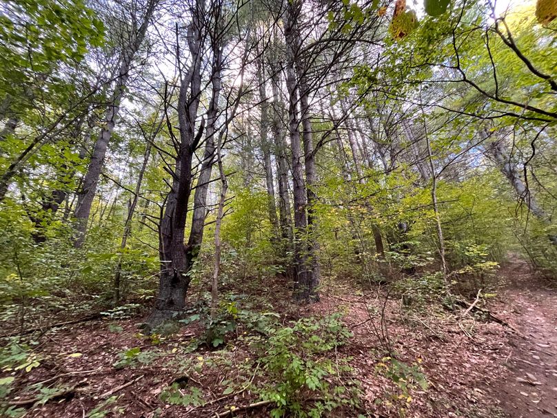 Tioga_20_Peters Photo 18