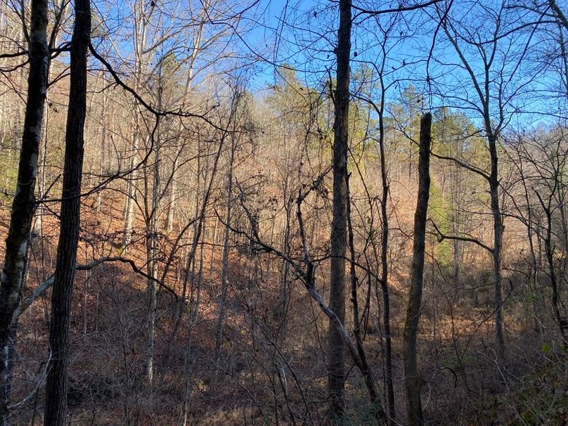 013 the view across the valley looking to the southwest