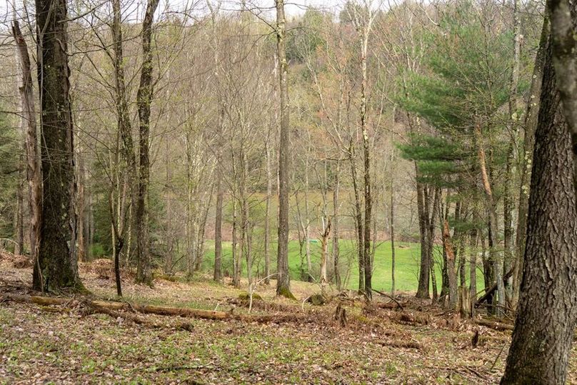 Clarion River-71