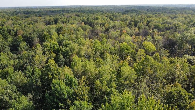 dji_fly_20240826_164508_387_1724708979116_photo_optimized