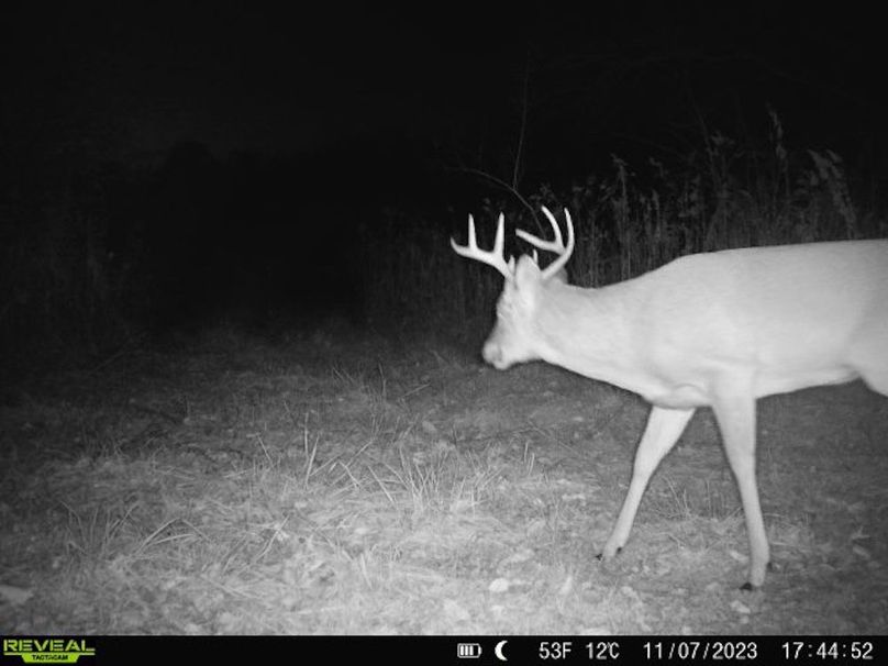 860322065128164-1-4-11072023174452-V-W1005362