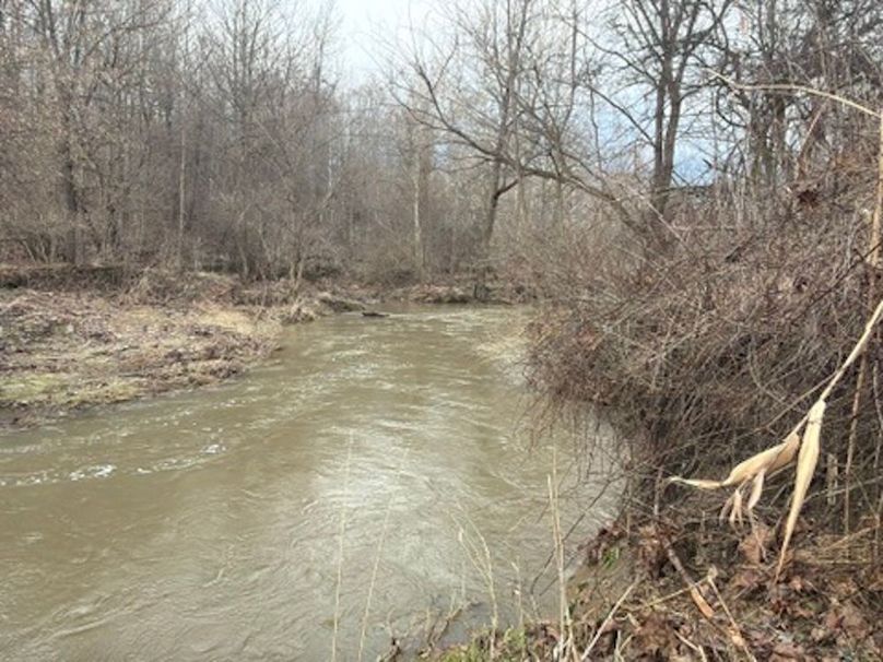 DB654F01-A2C5-42B6-AF8F-2FBF273F9359_4_5005_c