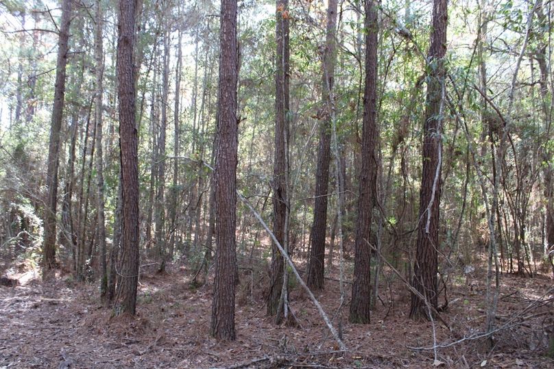 218AFCA0-7540-4861-B3EF-0353043A0C89_1_105_c