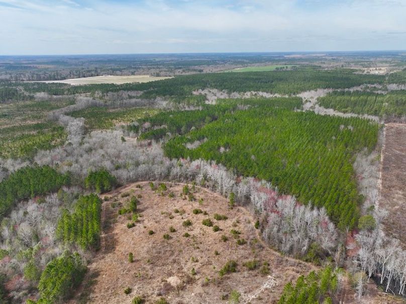 dji_fly_20240227_124522_128_1709056328257_photo