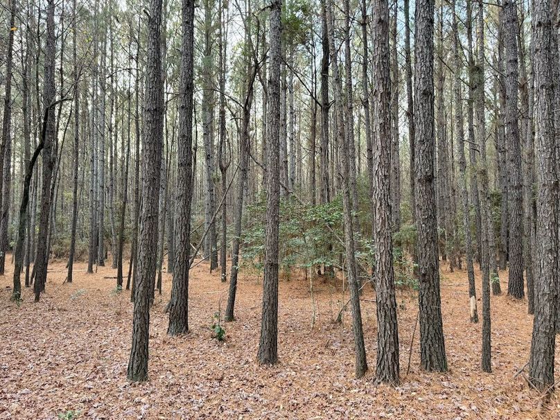 9506DD37-DFAB-422F-BF03-1635FA9A4C75