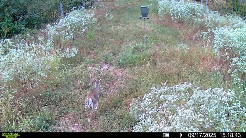 016578004184187-100-3-09172025151843-SYFW04481