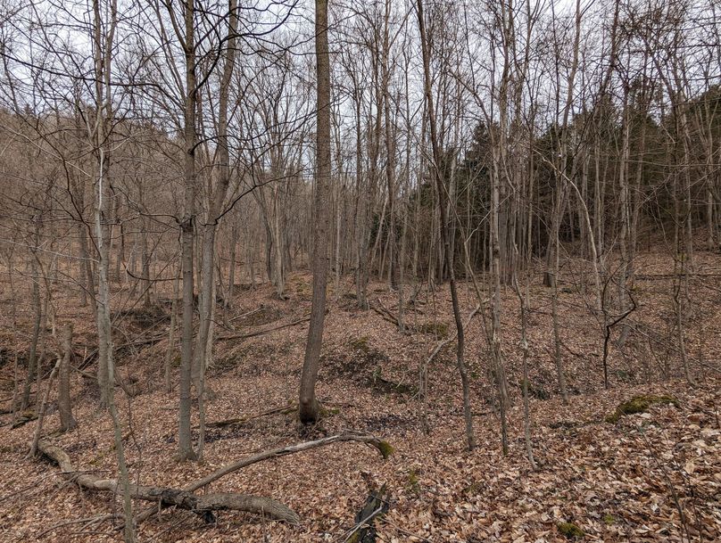 PXL_20230213_161636348