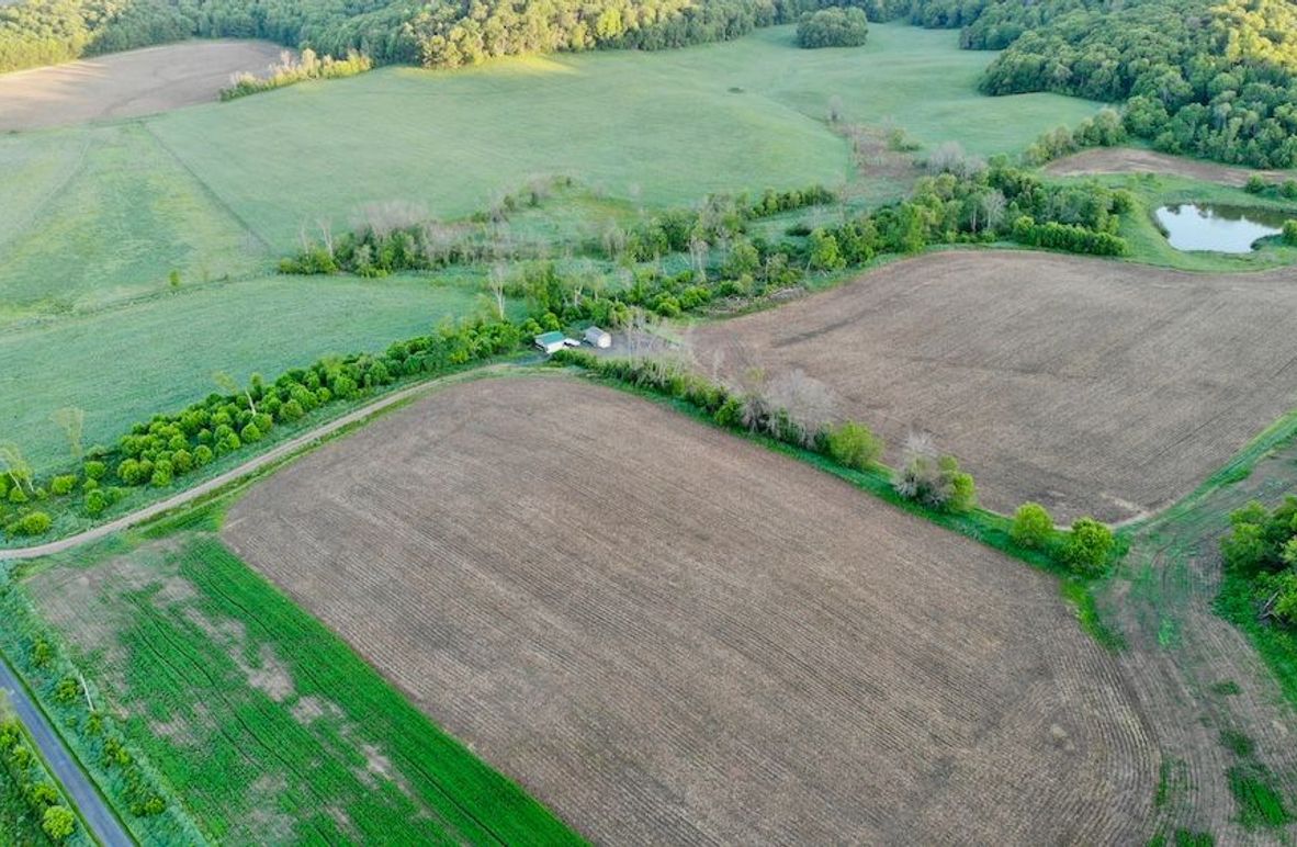 Jackson 178 - 5 of 63