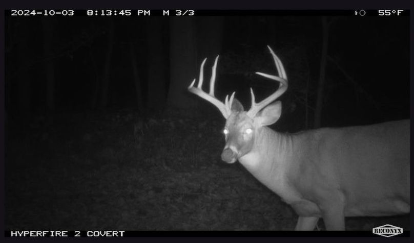 A2CEDF71-7454-4B24-A84B-FED063D3DE15_1_201_a