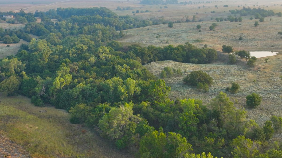 Recreational Creek Bottom Farm Outside Of Ellsworth KS Whitetail Properties