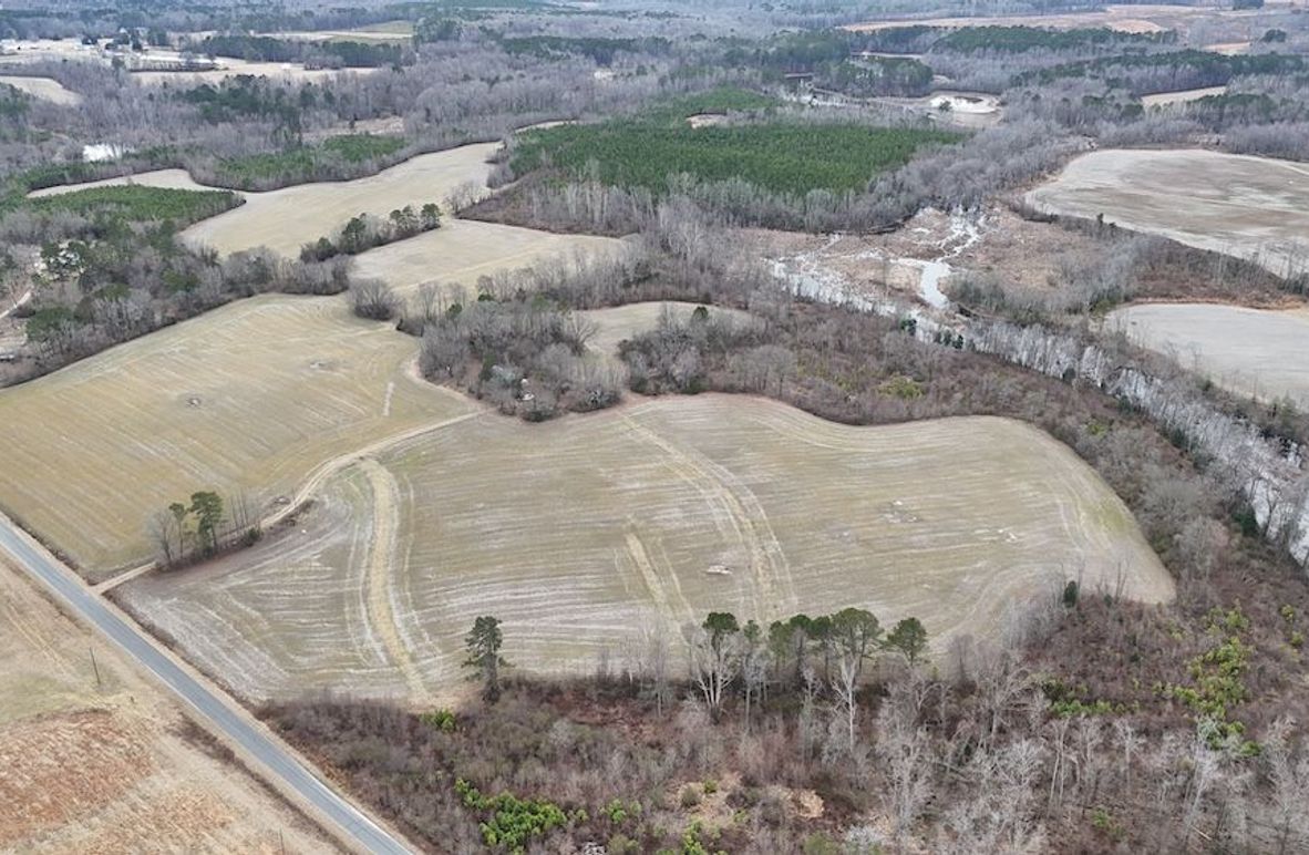 dji_fly_20260218_163628_0005_1771452065467_photo