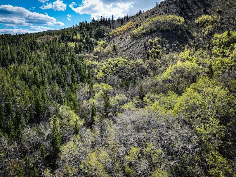 DJI_0233