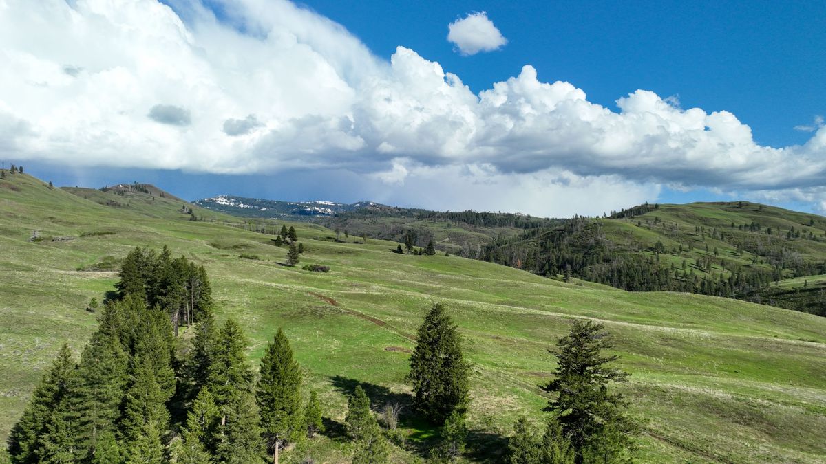 Large Acreage Mountain Property Backed Up To Payette National Forest